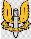 Paratroopers Logo