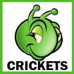 Charlotte Crickets Logo
