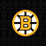 Boston Bruins Logo