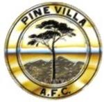 Pine Villa Steelers Logo