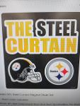 Steel CurtainX Logo