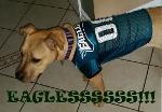 EAGLESSSSSS!!! Logo
