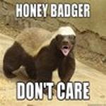 Honey Badgers Logo