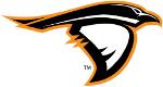 Anderson Ravens Logo