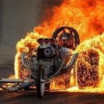 Rat City Weasels Logo