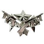 Detroit Bad Boys Logo