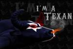 Maddog Texans Logo