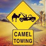 Kamel Tow Skull Kaep Logo