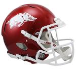 New Delhi Warthogs Logo