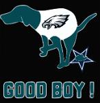 Fly Eagles Fly Logo