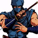 Lvl 5 Chunky Style Ninjas Logo