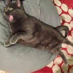 Jesus & Friends Logo