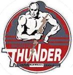 Thunder Baseball Logo