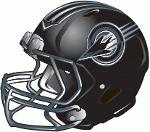 Omaha Nighthawks* Logo