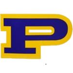 Dillon Panthers Logo