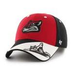 Flying Squirrels Logo
