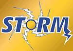 category 3# storm Logo
