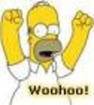 PlayingWho? Champ'13'16-Division'13'14'19 Logo