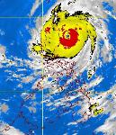 Tampa Bay Typhoon Logo