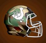 The Decoy Ducks🦆⭐⭐⭐⭐️ Logo