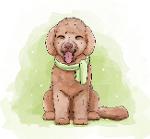 THE Office Playmaker Logo