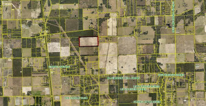 Photo for Advent Rd & Crawford Lake Rd Road, Other Fl City, FL 32062 - listing #FX-10274695 Advent Rd & Crawford Lake Rd Road, Other Fl City, FL 32062