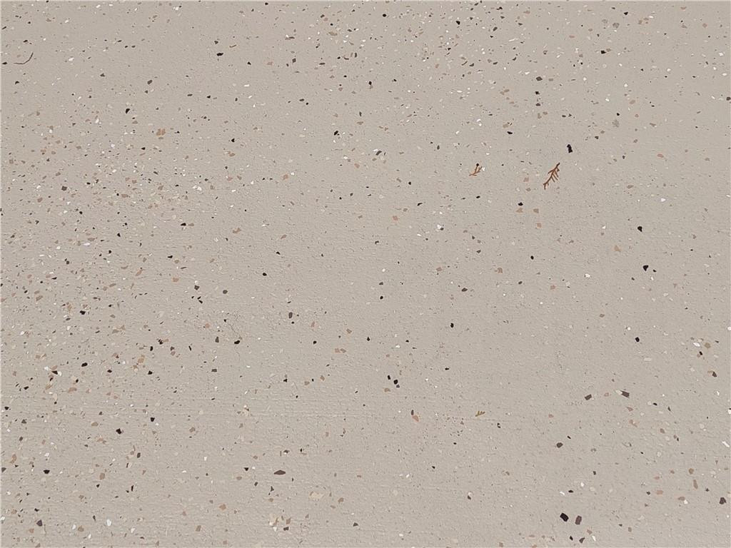 New driveway and garage paint design..