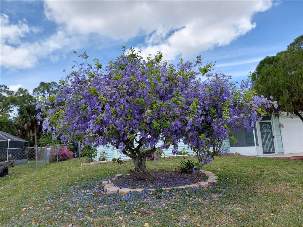 What a show of flowers you will have at your house