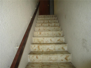 Photo for 1912 SW 17th Avenue, 14, Miami, FL 33145 - Listing #FX-10297670 1912 SW 17th Avenue, 14, Miami, FL 33145