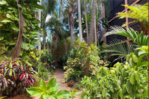 620 Tennis Club Drive, 302, Fort Lauderdale, FL 33311