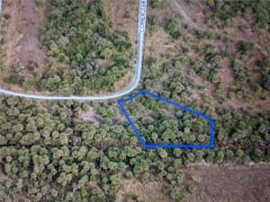 1981 SW Comer Terrace, Malabar, FL 32908
