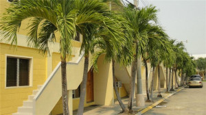 Photo for 211 SW San Pedro Sula, 16B, - Listing #FX-10300808 211 SW San Pedro Sula, 16B,