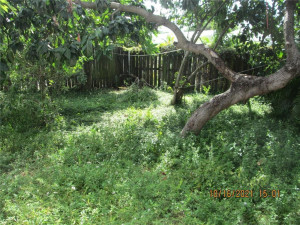 Photo for 2911 NE 1st Avenue, Pompano Beach, FL 33064 - Listing #FX-10304760 2911 NE 1st Avenue, Pompano Beach, FL 33064