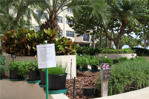 Two Herbs Garden beautifully taken care of, to be shared by all neighbors...