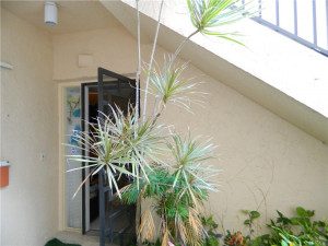 Photo for 4135 Carambola Circle, 2133, Coconut Creek, FL 33066 - Listing #FX-10311611 4135 Carambola Circle, 2133, Coconut Creek, FL 33066