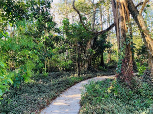 Photo for 6746 W Sample Road, B 25, Coral Springs, FL 33067 - Listing #FX-10314423 6746 W Sample Road, B 25, Coral Springs, FL 33067