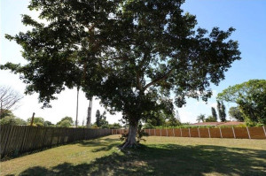 Photo for 9604 NW 35th Court, Coral Springs, FL 33065 - Listing #FX-10318650 9604 NW 35th Court, Coral Springs, FL 33065