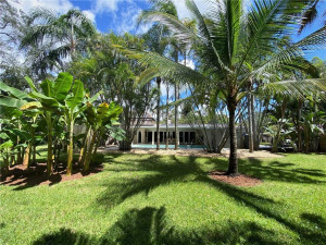 Large private Garden with Pool-Tropically landscaped