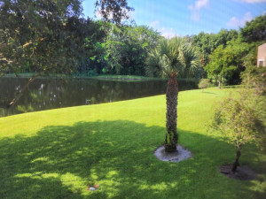 Photo for 3503 Bridgewood Drive, 3503, Boca Raton, FL 33434 - Listing #FX-10345506 Liv Rm - Kitchen 3503 Bridgewood Dr Boca Raton