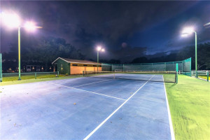 6201 Melaleuca Road, Southwest Ranches, FL 33330