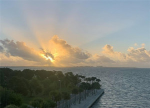 3581 E Glencoe 501, Miami, FL 33133