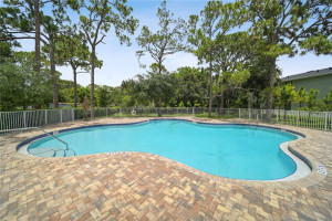 The community pool is surrounded by mature trees. The community pool is surrounded by mature trees.