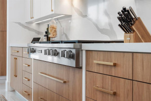 231 Thatch Palm Drive, Boca Raton, FL 33432