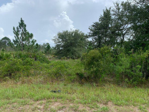 2101 W Hampton Road, Other Fl City, FL 33825