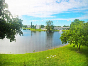 4003 Farnham N, 4003, Deerfield Beach, FL 33442