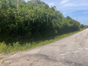 XXXX Xxxx 32nd Lane N, Loxahatchee, FL 33470