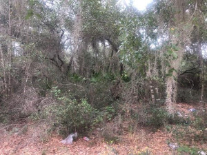 0 Belmont Avenue, Other Fl City, FL 34788