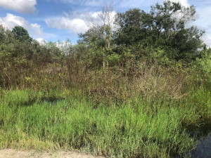 0 NW 4th Avenue, Okeechobee, FL 34972