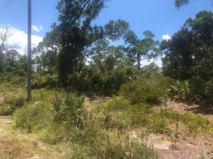 201 NW Excaliber Way, Other Fl City, FL 33852