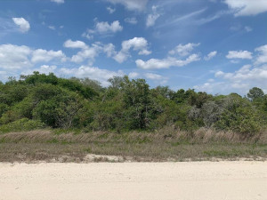 190 Lakeland Drive, Other Fl City, FL 33852